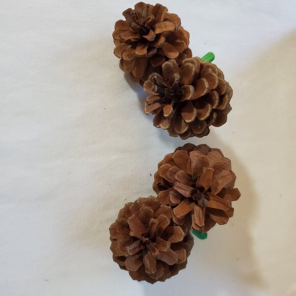 Natural Unscented Wooded Pinecone Clip Ornaments – Holiday Décor – Set of (2) - Picture 6 of 7